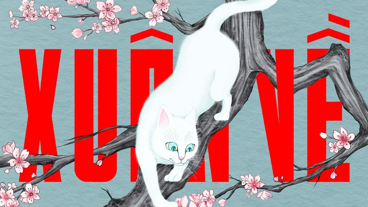 XUANVE CREATIVE hero